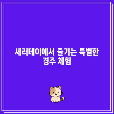 경주에서 가성비 좋게 여행하기: 펜션 세러데이