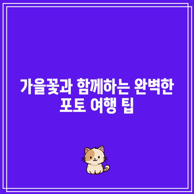 가을 꽃밭 포토존 추천 여행지