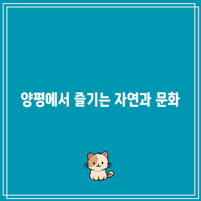 양평에서의 평화로운 가을 산책: 물소리길 5코스