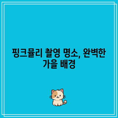 경남 핑크뮬리와 가을 여행 코스에 좋은 7곳