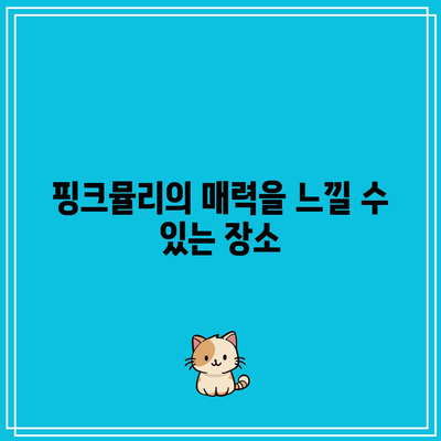 경남 가을 여행지 7곳: 핑크뮬리 포함