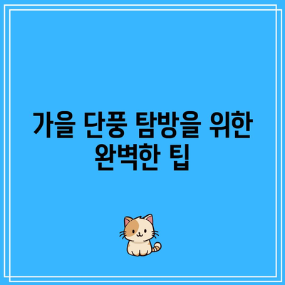 가을 단풍 명소와 여행지 안내: 2023년 에디션