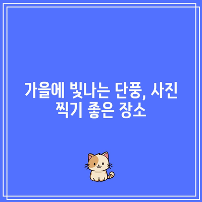 가을 단풍의 화려한 쇼: 국내 단풍 명소와 관람 시기