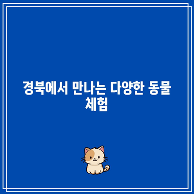 경북 글램핑과 오토캠핑: 레저와 동물체험이 한데