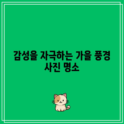 가을 여행지 베스트 인기 명소