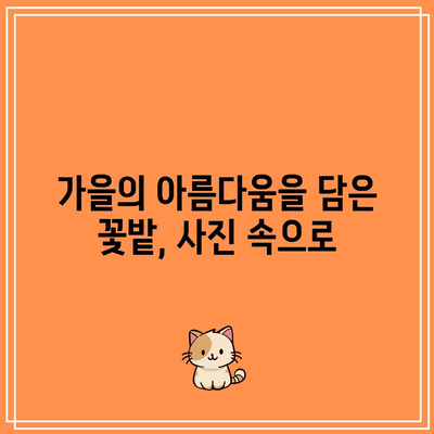 가을 여행의 꽃밭 포토존 스팟