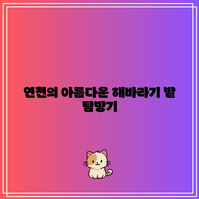 호로고루 해바라기 명소 연천 가볼 만한 가을 여행지