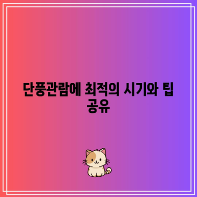 단풍시기와 함께 누리는 국내 단풍명소