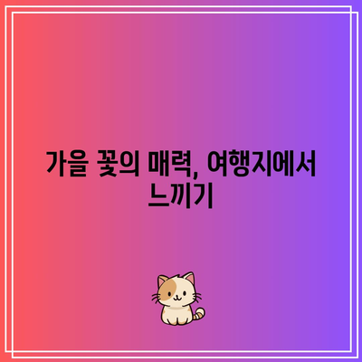 가을 여행지 꽃밭 포토존 스팟 추천