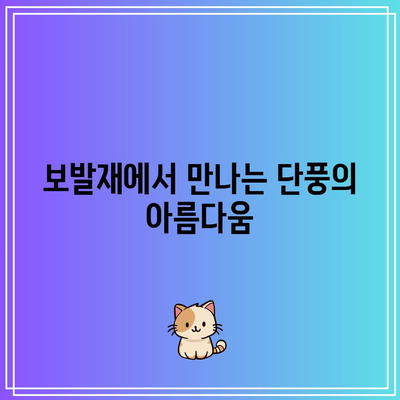 단양 가을 단풍 여행지: 보발재와 구인사 살펴보기