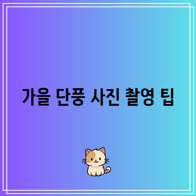 단양의 가을 단풍 여행지: 보발재와 구인사