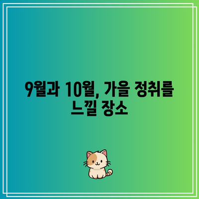 가을 국내 여행지 TOP3: 9월과 10월에 가볼 만한 곳