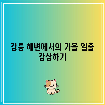 호린파크와 강릉 탐험: 가을 여행 코스