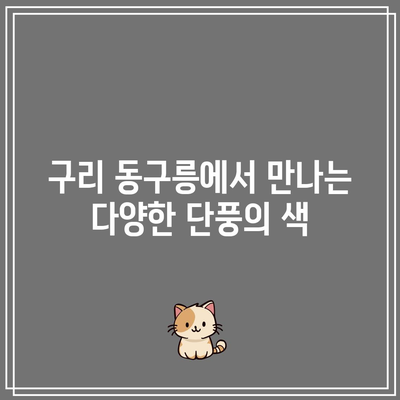 경기도 가을 여행지: 구리 동구릉 단풍