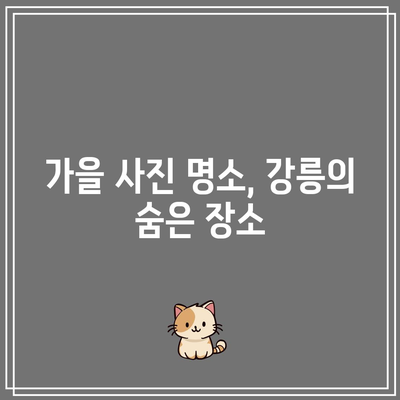 강원도 가을 여행지: 강릉의 경치 좋은 길