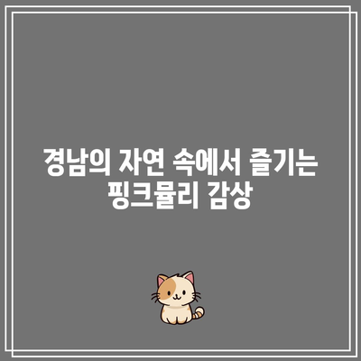 경남 핑크뮬리와 가을 여행 코스에 좋은 7곳