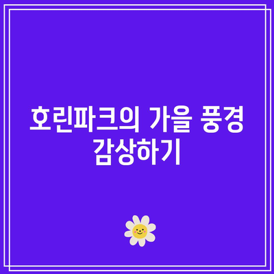 호린파크부터 연곡해변까지: 강릉 가을 여행 코스