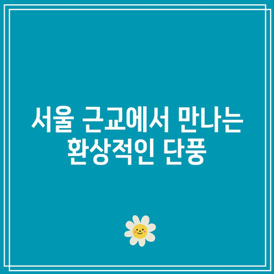 단풍시기와 함께 누리는 국내 단풍명소