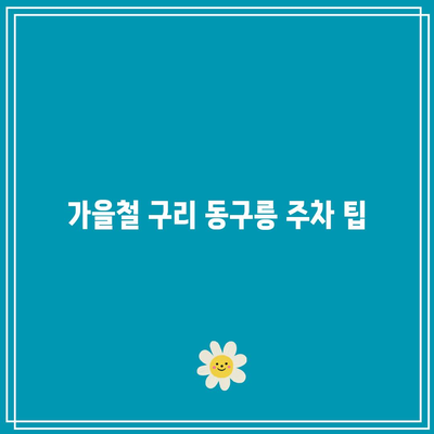 경기도 가을 여행지: 구리 동구릉 단풍 주차