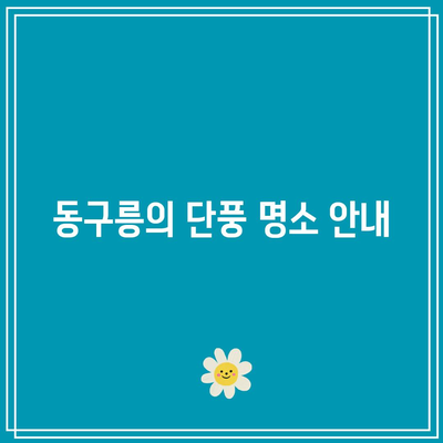 경기도 가을 여행지: 동구릉 단풍주차