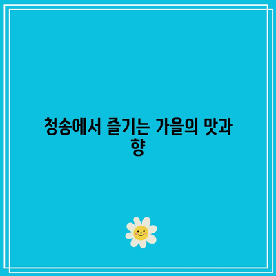 경북 청송의 가을 색감: 송소고택, 백일홍 축제, 주왕산국립공원