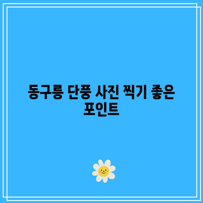 경기도 가을 여행지: 구리 동구릉 단풍 주차