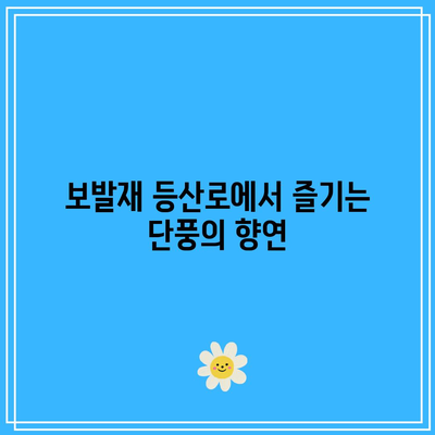 단양의 가을 단풍: 보발재와 구인사