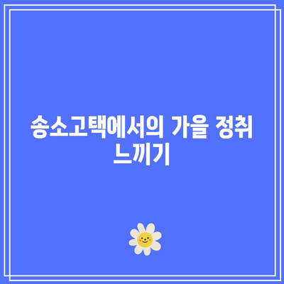 경북 청송 가을 여행지 추천 코스: 송소고택, 주왕산, 백일홍축제