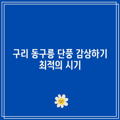 경기도 가을 여행지: 구리 동구릉 단풍