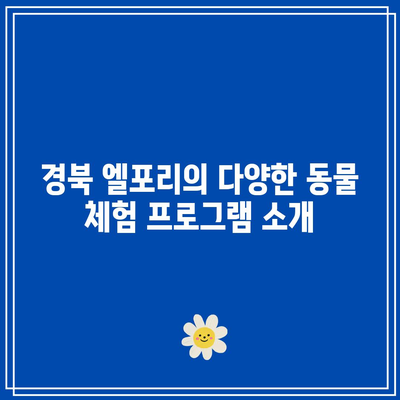 동물 체험과 레저의 천국, 경북 엘포리 캠핑장