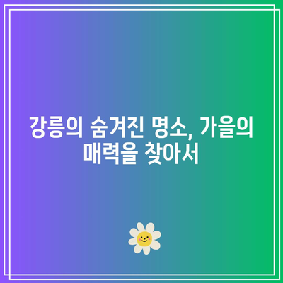 호린파크와 강릉 탐험: 가을 여행 코스