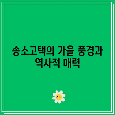 경북 청송의 가을 색감: 송소고택, 백일홍 축제, 주왕산국립공원