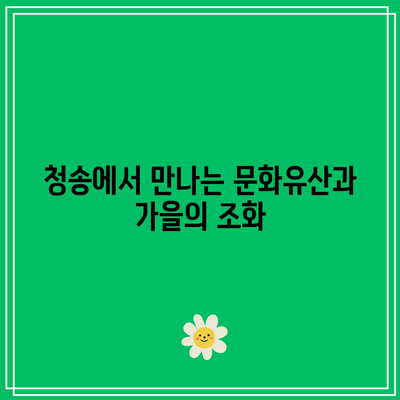 청송에서 추천하는 가을 여행지 코스