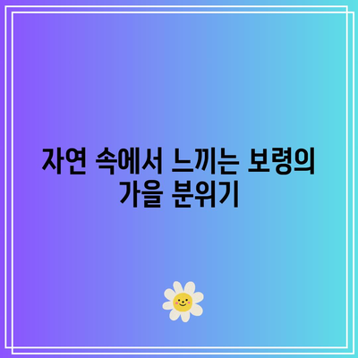 충남 여행 코스: 보령의 가을색