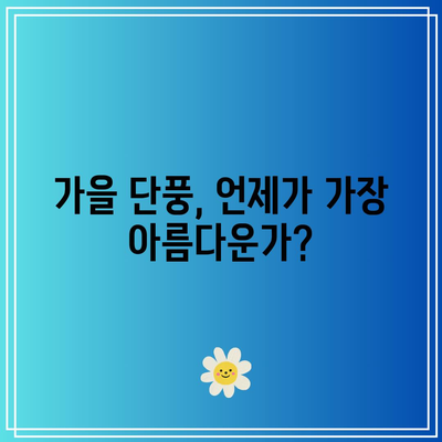 가을 단풍 명소와 시기: 국내 리프 페스티벌 가이드