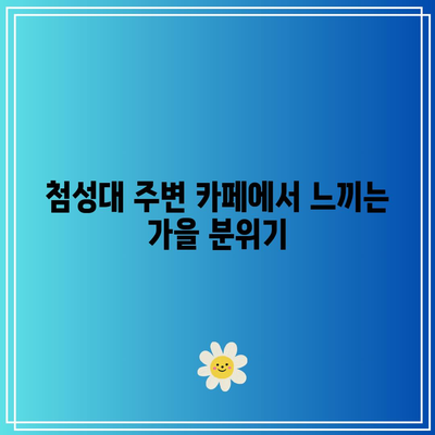 첨성대 핑크뮬리와 경주 가을 여행 명소