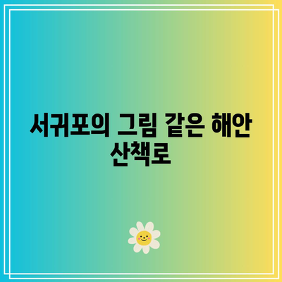 제주도 서쪽 가을 여행 가볼 만한 곳