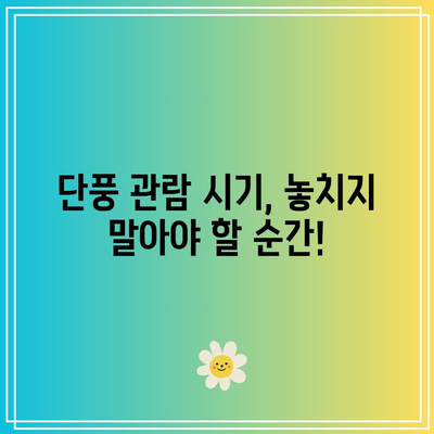 가을 단풍의 화려한 쇼: 국내 단풍 명소와 관람 시기