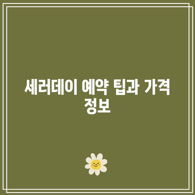 경주 가성비 숙소 베스트! 대형 수영장 펜션 세러데이