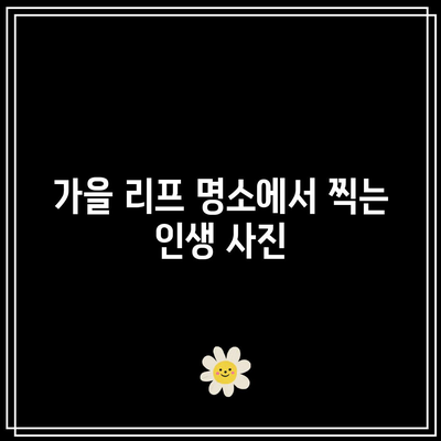 구리 동구릉에서 가을 리프 명소 둘러보기