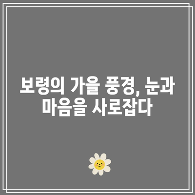 보령 가을 여행: 놓치지 마세요!