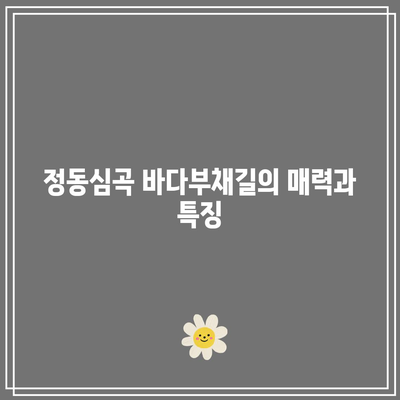 강원도 강릉 가볼 만한 곳: 가을 여행지 추천, 정동심곡 바다부채길