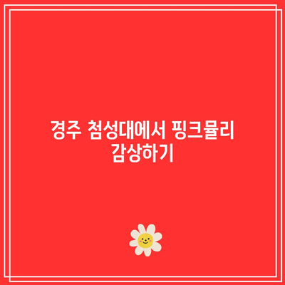 첨성대 핑크뮬리와 경주 가을 여행 명소