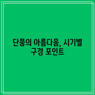 단풍 시기와 국내 단풍 명소