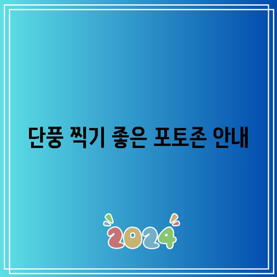 보령의 가을 단풍 여행 가이드