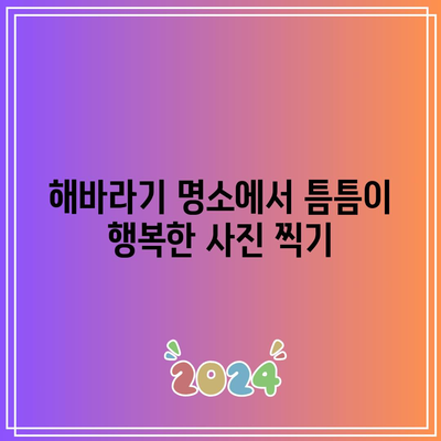 호로고루 해바라기 명소 연천 여행 가볼 만한 곳