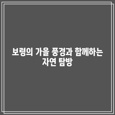 보령에서 즐기는 가을 캠핑과 해수욕