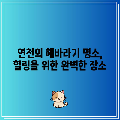 호로고루 해바라기 명소 연천 여행 가볼 만한 곳