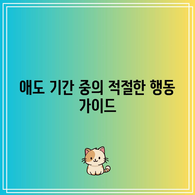 장례식장 금기: 무례한 행동을 피하고 존중심을 보이기