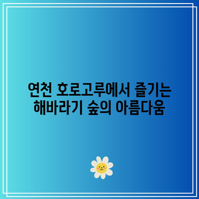 호로고루 해바라기 명소 연천 여행 가볼 만한 곳